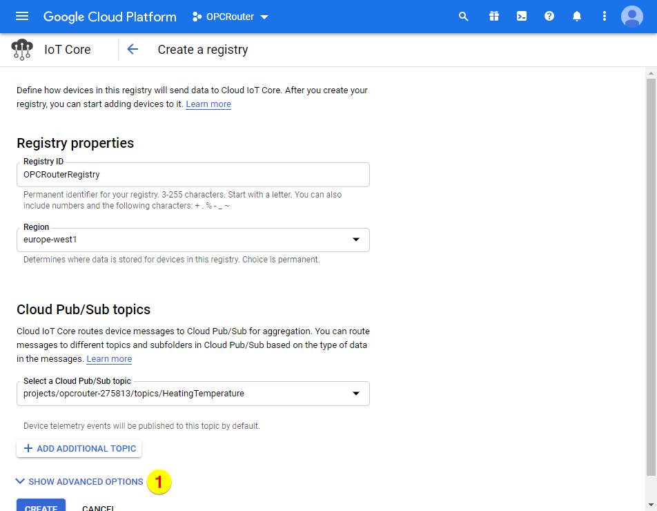 Google Cloud Platform – advanced options