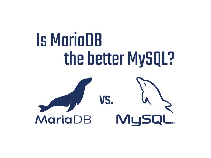 brew mysql client