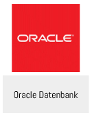 Plug-in-Kasten-Oracle-Datenbank Oracle Datenbank Plug-in