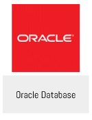 Oracle Database Plug-in