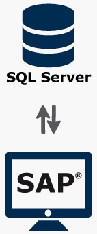 SQL Server und SAP